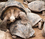 ...."damned - why is this fellows always in my way".....