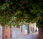 Gärten und Blumen überall