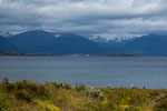 ...Blick über den Beagle nach Chile - hier Puerto Williams...