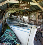 ...und auch ganz schnittige wie die "Amalia"...