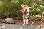 .....Glapagos Tortoise can weigh up to 250 kg.....