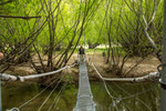 ...heute kann man bequem über eine Hängebrücke spazieren...