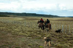 ...Gauchos kontrollieren den Zaun...