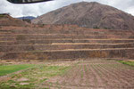 ...Terrassenfelder noch aus Inka-Zeiten...