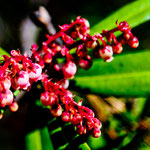 .....die wir leider alle nicht kennen.