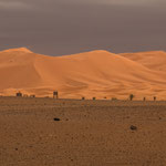 ...bis zu 200 m hoch sind diese Giganten...