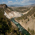 der Yellowstone River frisst sich durch die "Specimen Ridge"