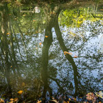 ...direkt ausserhalb ein toller Park mit tollem Bachlauf...