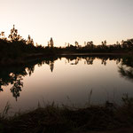 ein kleiner aber wunderschöner See mit vielen Fischen....
