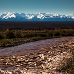 ...nach den Regengüssen reisend und braun...