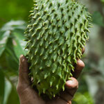 ...den Namen dieser Frucht haben wir leider vergessen....