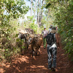 ....vorbei an gefährlichen Hindernissen....