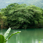 Einer von hunderten Flüssen an der Ostseite Mexikos.