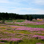 Auch das muss nicht kommentiert werden.....