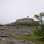 ....wenn man in ruhe ein Buch lesen will.