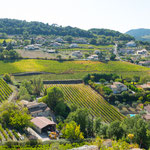 ...und ringsherum Weinberge - auch eine Hinterlassenschaft der Römer