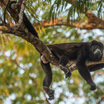 ...."lasst mich doch alle in Ruhe"     