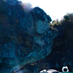 ...eine Laune der Natur - dieser Kopf...