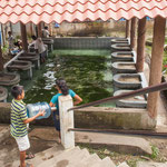 ....der öffentliche Waschplatz....