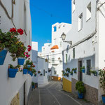 ...und an jeder Hauswand Blumen...