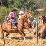 ...man hat das Gefühl der Gauchos und sein Pferd wären "verschweißt"...