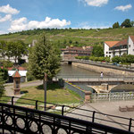 Blick aus unserem Fenster auf die Weinberge in Esslingen