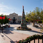 ..... einem speziellen mexikanischen Weihnachtsbaum.....