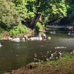 Fast alle Frauen des Dorfes sind zum Waschen versammelt am Fluss.....