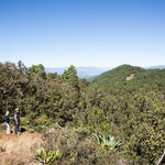 Erstaunlich wie dicht die Wälder in Mexico auf über 3.000m Höhe sind....