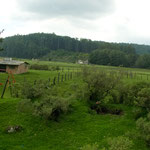 It reminded us a lot of the "Black Forest" in Germany