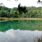 .....dieser hier ist türkisfarben.....