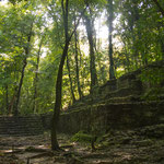 ....hier sieht man wie der Urwald sich alles zurück holt....