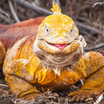 ...."can you imaging how it tastet?".....