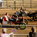 das "pig n Ford" Rennen - hoffentlich verliert er das Schwein nicht