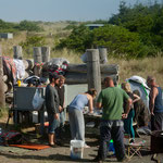 ....und viel gefischt - auch wir bekamen einen ab.