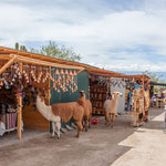 ...Lamas unterstützen den Verkauf des lokalen Kunsthandwerks