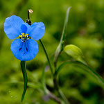 ....Unfortunately we don´t know the name of flowers