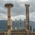 ...nicht nur bei Touristen beliebt - auch bei Störchen...