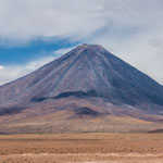 ...vor diesen "Kerl" wurde sogar am Strassenrand mit Schildern gewarnt - scheinbar rechnet man mit Ausbrüchen.