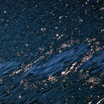 .....die Spur eines Wals auf dem Wasser - mit der Schwanzflosse erzeugt....