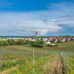 ...und liegt inmitten von Weinbergen...