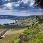 Blick auf den Rhein...
