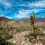 ...von hier oben hatten die Inkas und deren Vorgänger eine tolle Verteidigungsposition...