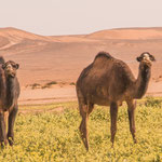 ...was guckst du?...