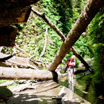 ....und wilder Schlucht.