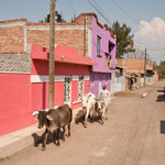 Bunt und idyllisch aber sehr arm