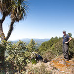 Links ein "Elefantenfuss" der auch in der Höhe gedeiht....