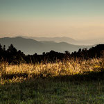 .....abends haben sich die Lichtverhältnisse minütlich verändert....