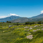 Auf dem Weg von Tafi nach Amaicha...