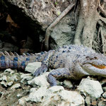 Hier geht man lieber nicht schwimmen